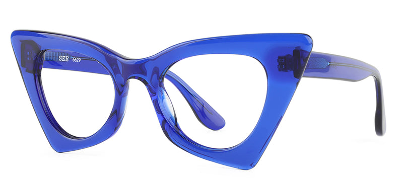 SEE 6629 Sexy Specs™.