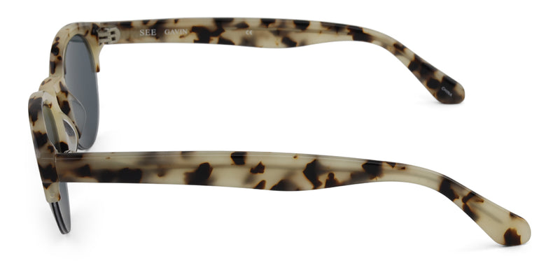 SEE Gavin Sun Reader.